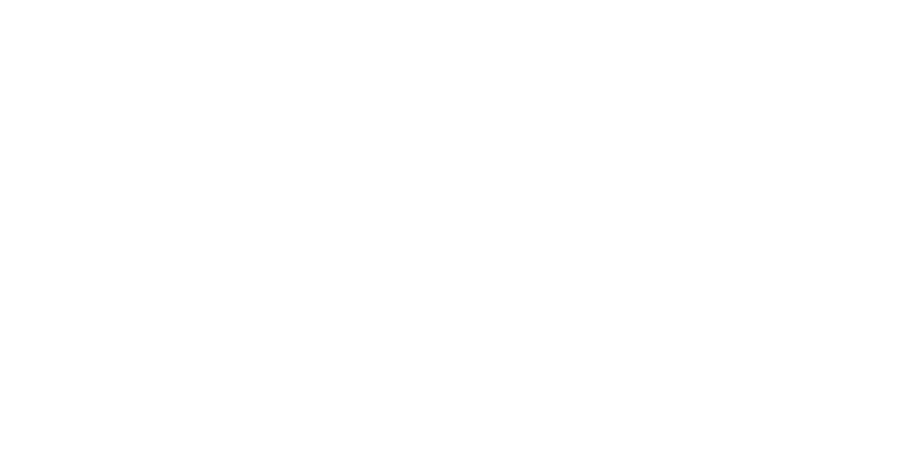 Ping logo